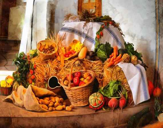 <br>flowers, pumpkins, harvest, autumn