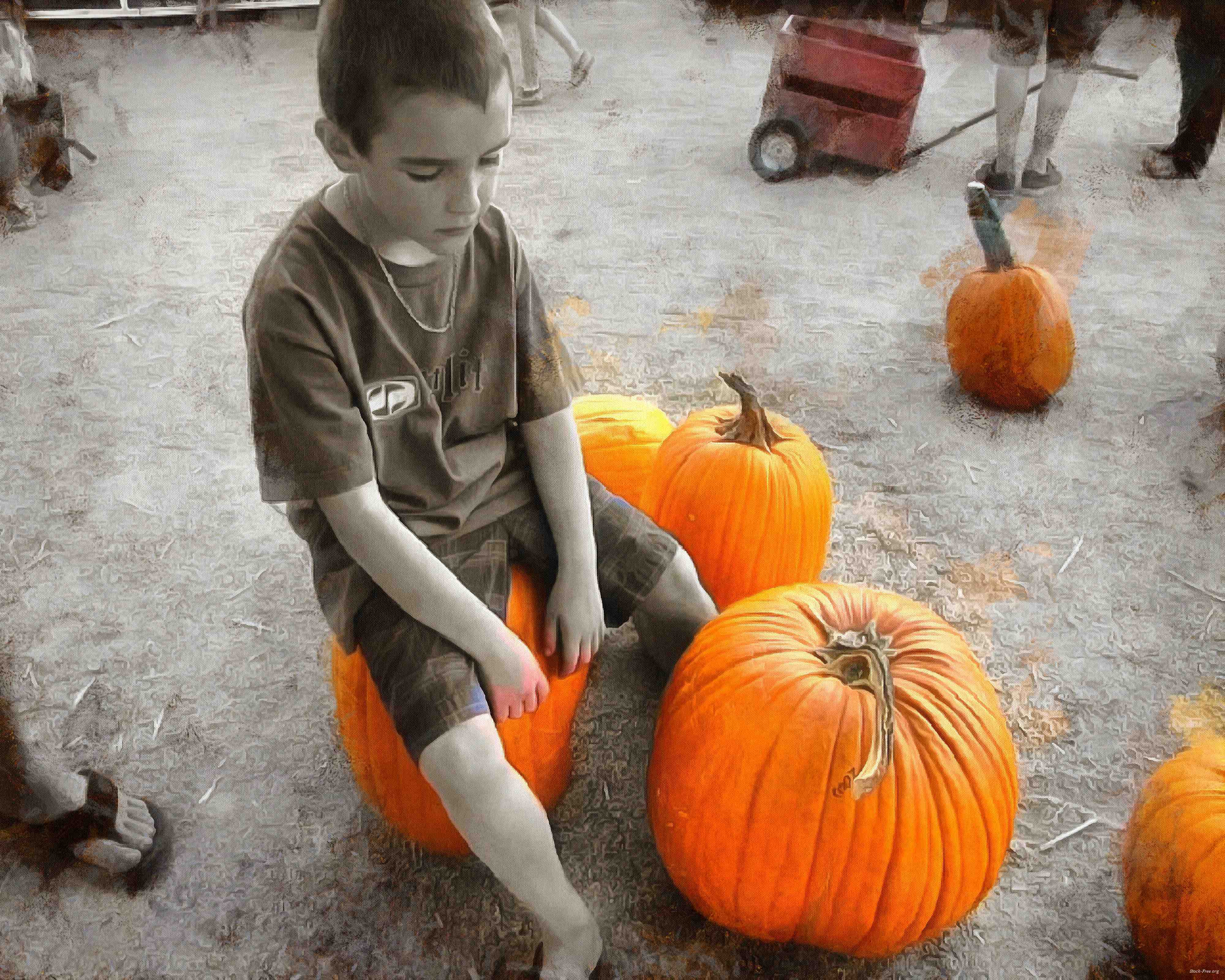 boy, kids, pumpkin, holiday, flame, candle, smile, candle, horror - halloween, holiday, free images, public domain images, free stock images, download images, free pictures<br>