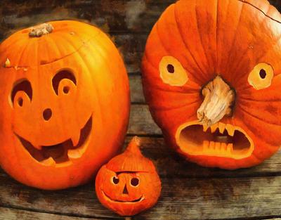 face, pumpkin, holiday, lots of pumpkins, garden, spooky, trick or ...