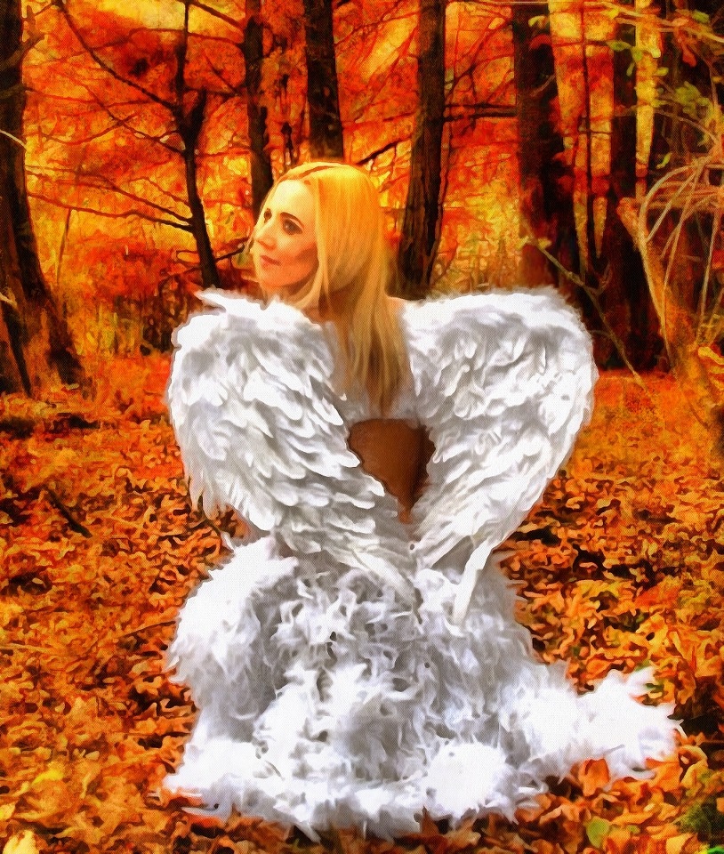 Angels, angel picture, stock free images of angels, Free angel images, Images of Angel, Angel photo,  - Download angels public domain images, free angel images, download stock free images!