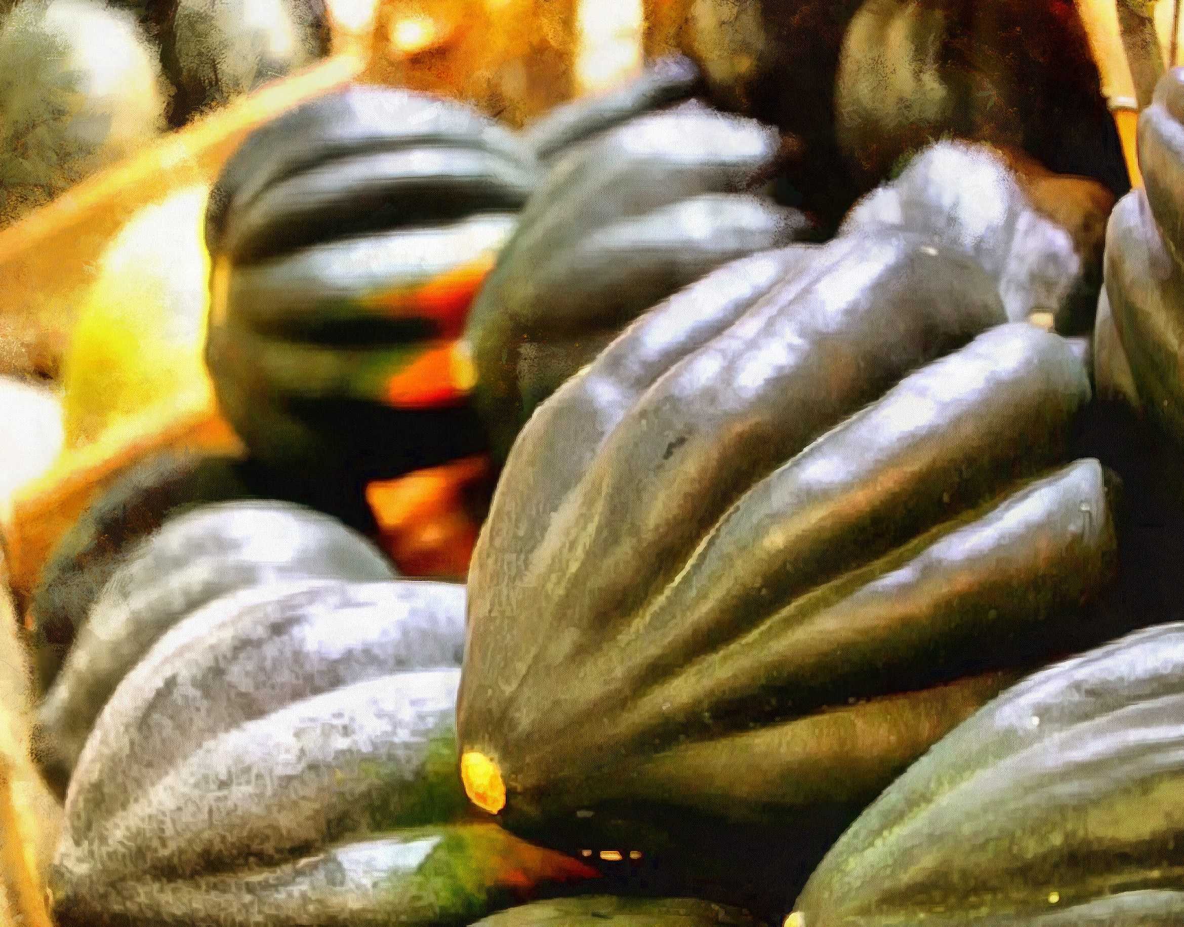 pumpkin, thanksgiving, vegetables, harvest, holiday, - thanksgiving, stock free image, public domain photos, free stock photo, download public domain images.