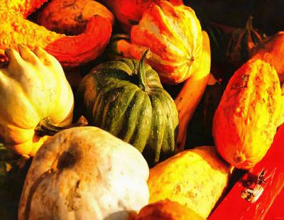 pumpkin, head, vegetable, flame, holiday, candle, celebration,  - halloween, free photos, freeimages, free stock images, public domain images, download free images, stock free images 